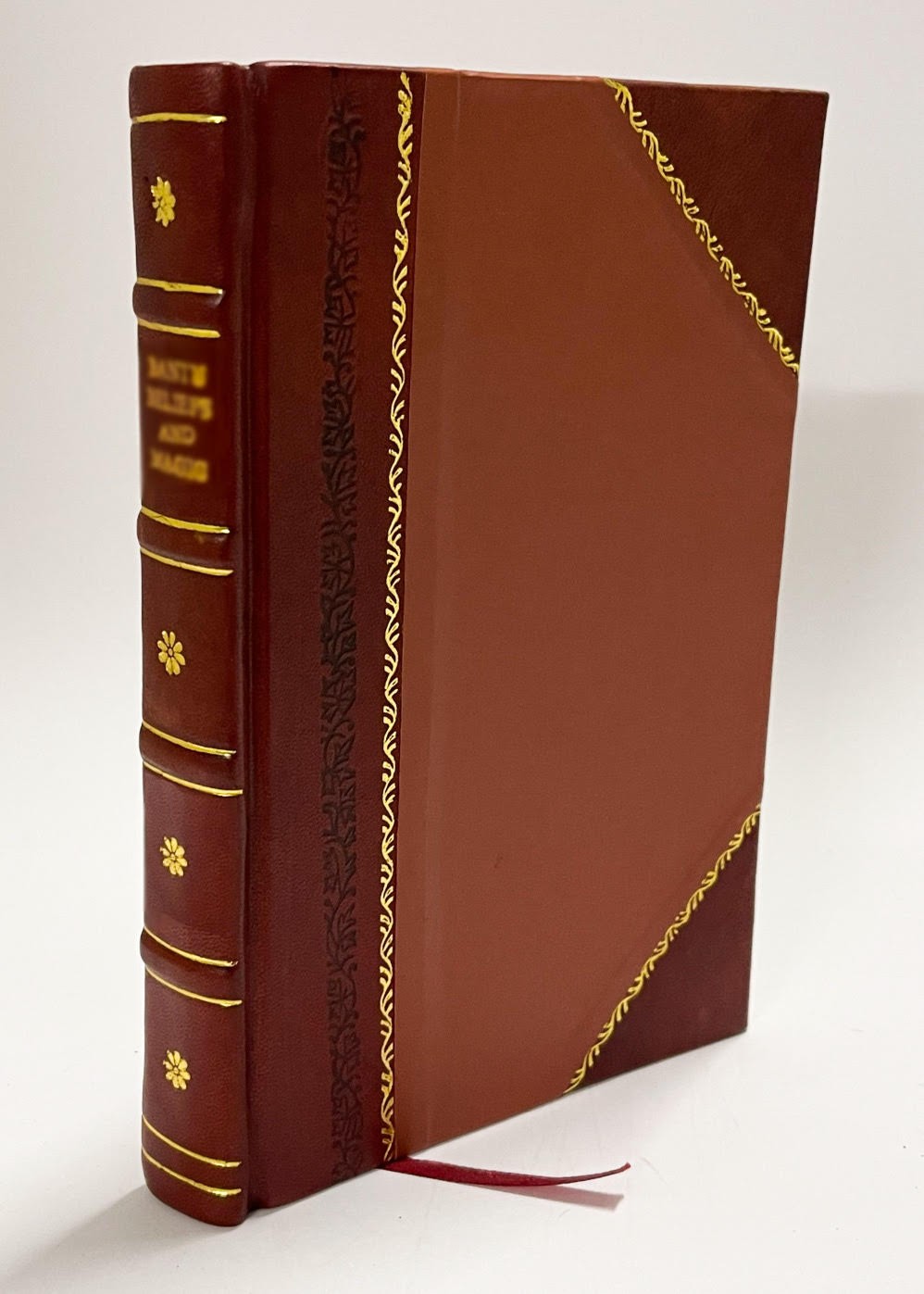 Juvenile Literature as It Is by Edward Salmon [Leather Bound]