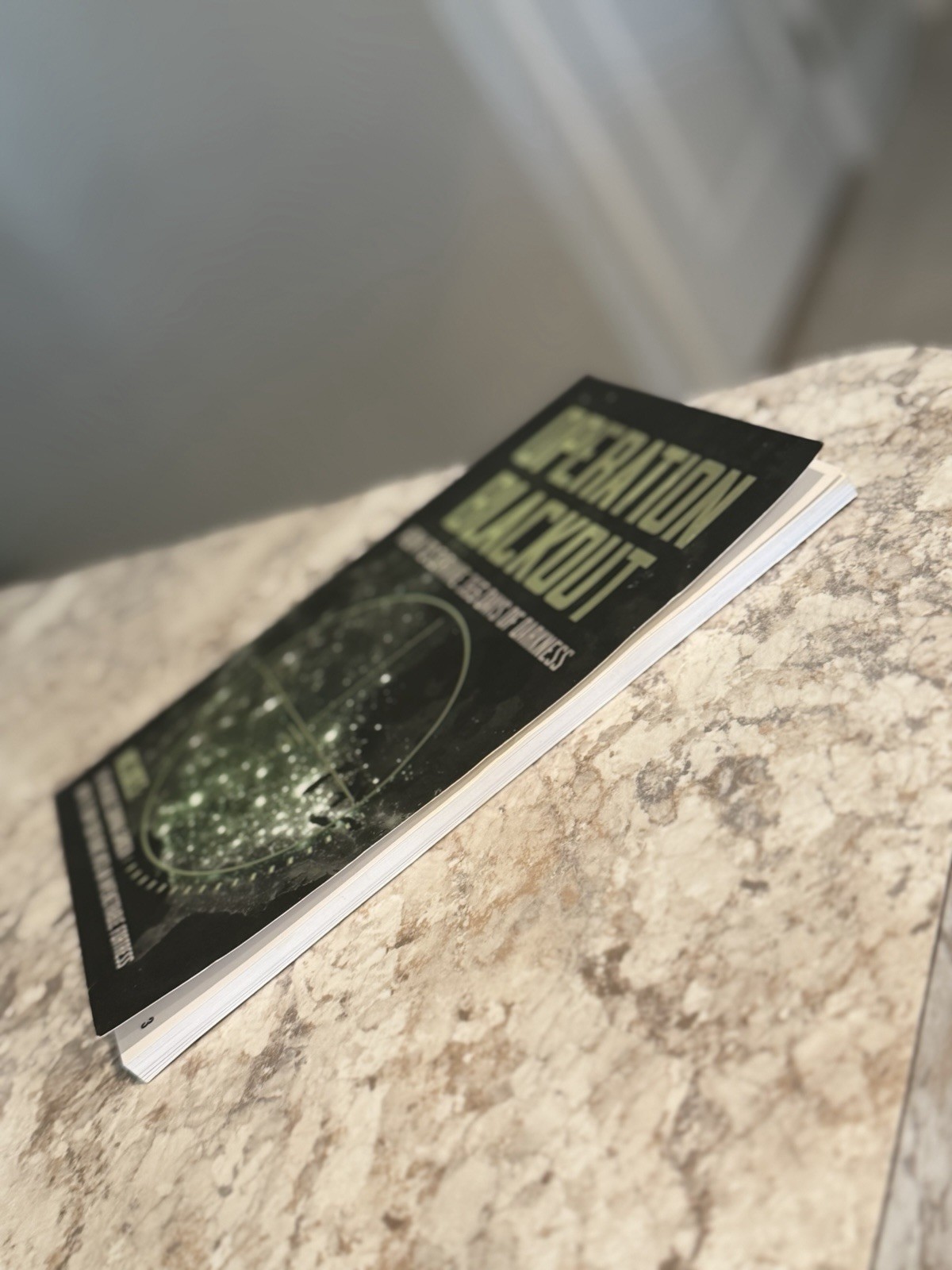 The Lost SuperFoods: 126+ Survival Foods and Tips for Your Stockpile