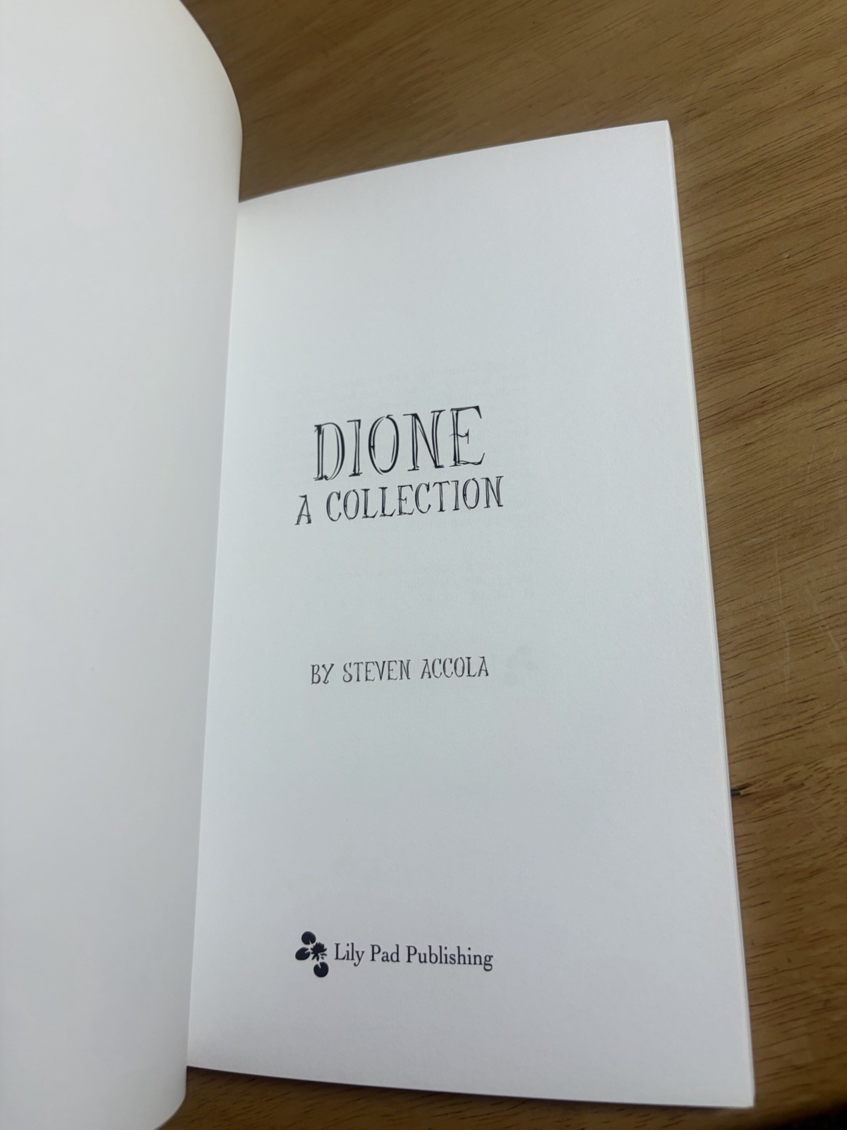 Dione A Collection Steven Accola 2007 1st Print Surrealist Art Book Scarce